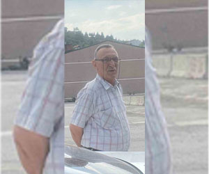 Kastamonu'da 76 Yaşındaki Kemal Çelik Otomobil Çarpması Sonucunda Hayatını Kaybetti